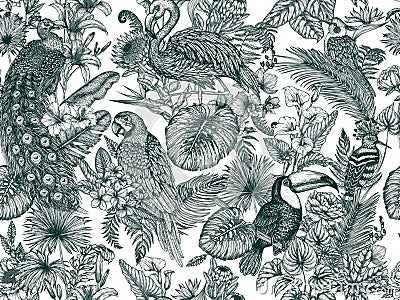 Vector seamless pattern with tropical garden with exotic birds Vector Illustration